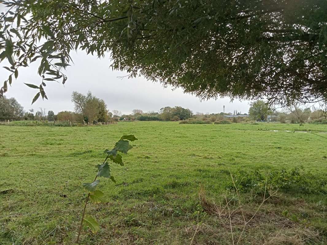 Terrain à SAINT-QUENTIN-EN-TOURMONT