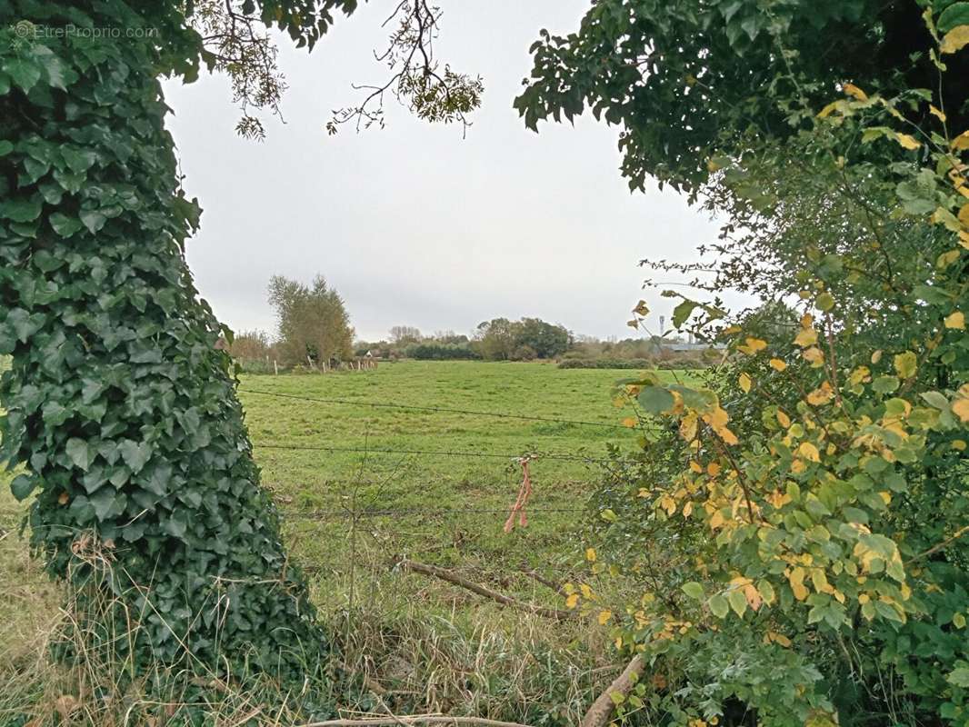 Terrain à SAINT-QUENTIN-EN-TOURMONT