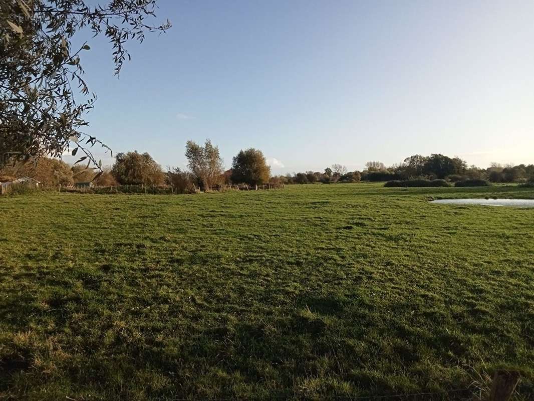 Terrain à SAINT-QUENTIN-EN-TOURMONT