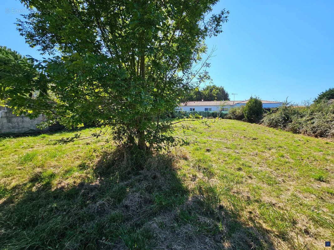 Terrain à MEDIS