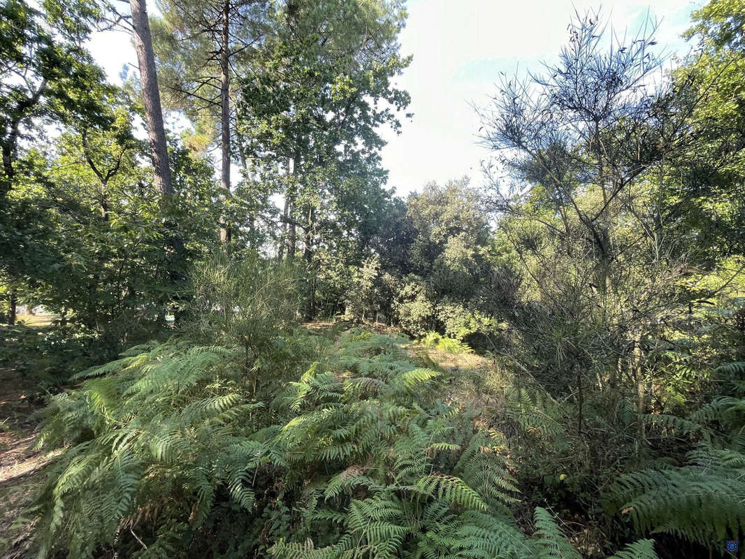 Terrain à LES MATHES