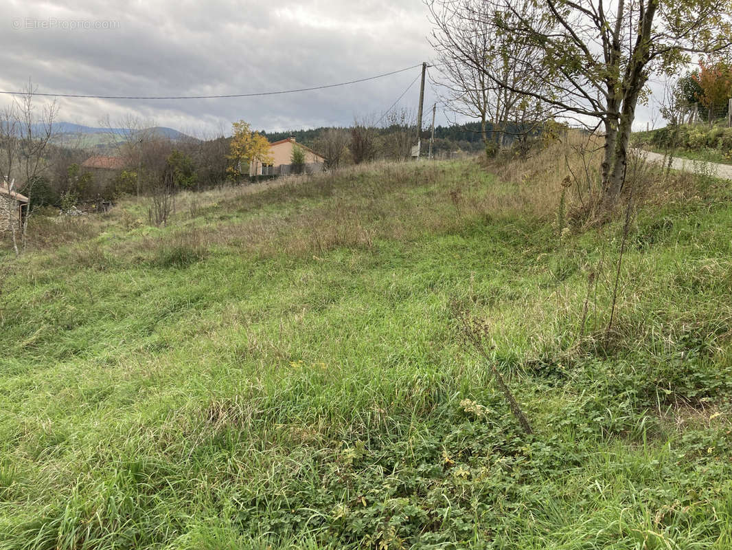 Terrain à SAINT-ROMAIN-D&#039;AY