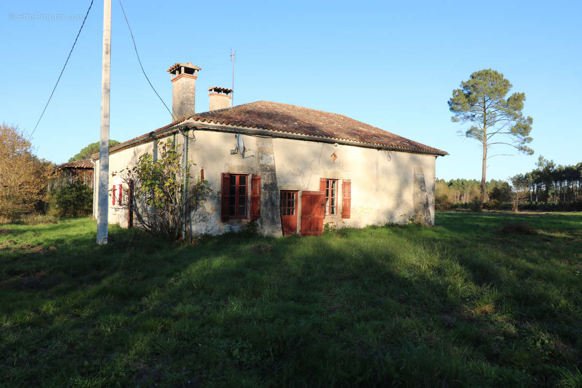 Maison à BAZAS