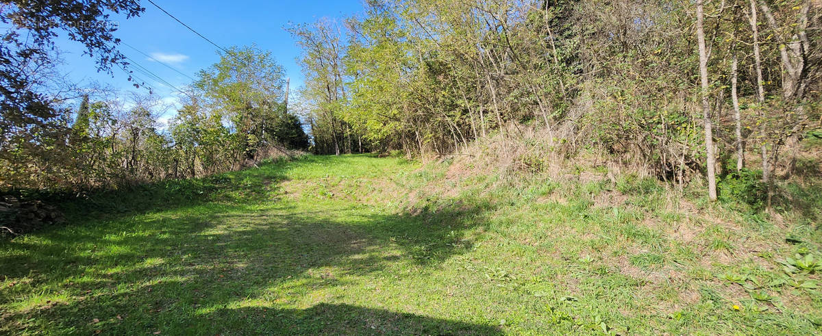 Terrain à CARMAUX