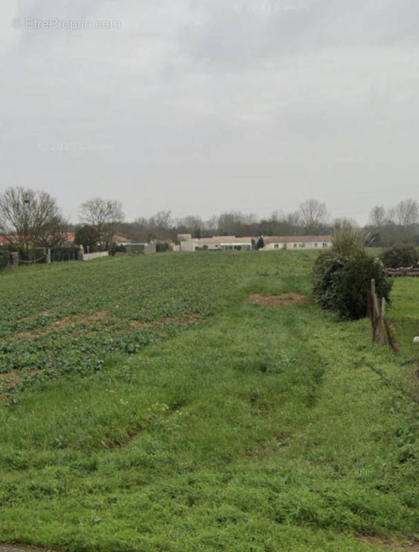 Terrain à VILLEDOUX