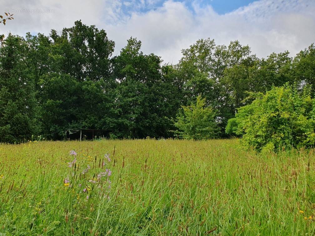 Terrain à SAINT-JEAN-DE-BLAIGNAC