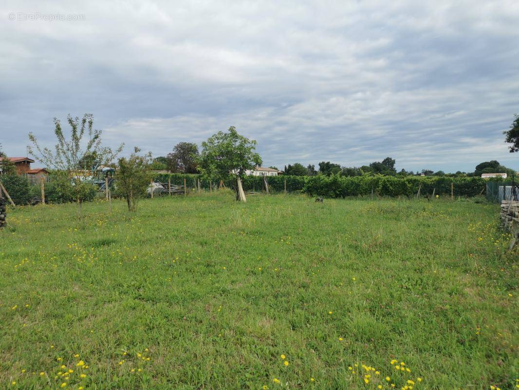 Terrain à LIBOURNE