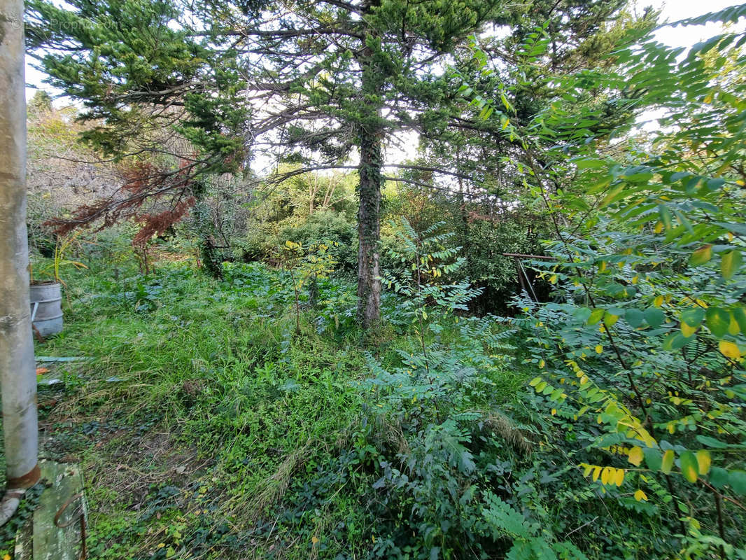 Terrain à BEZIERS