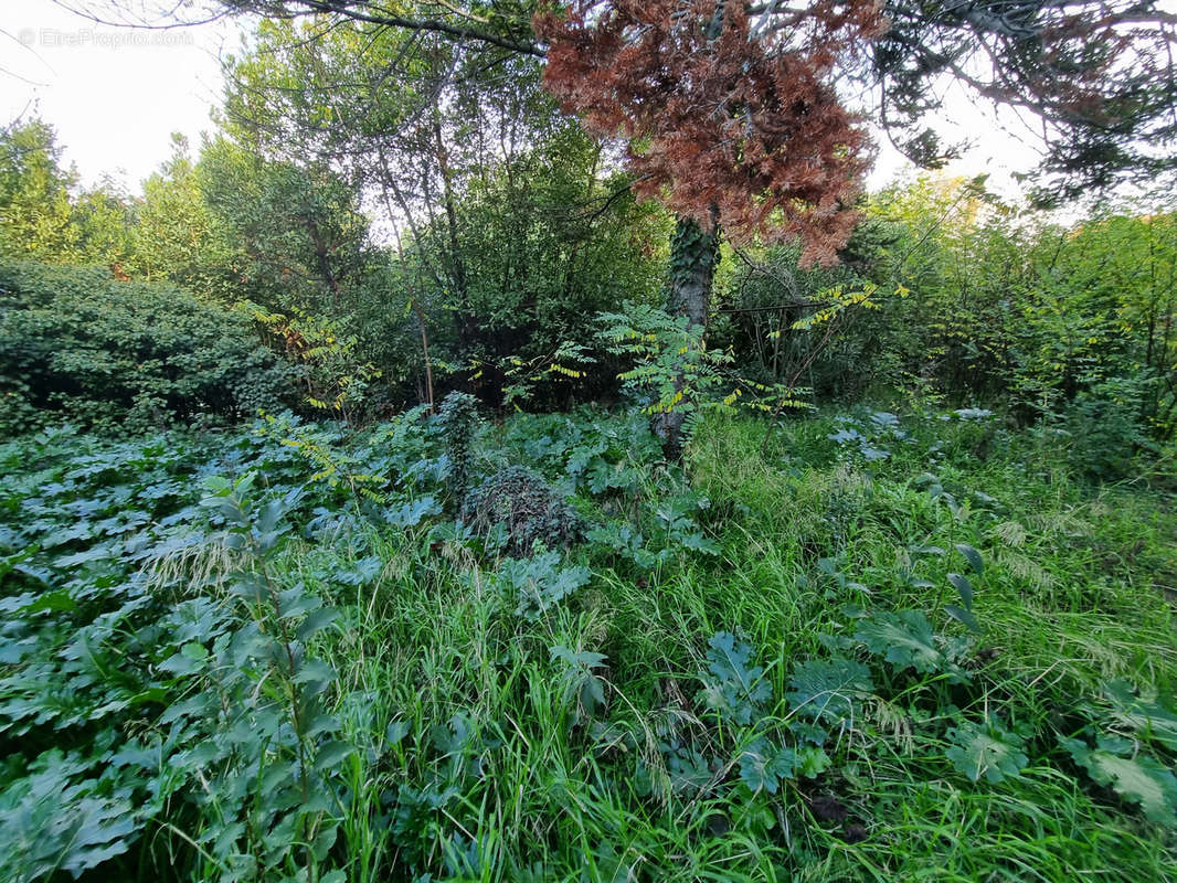 Terrain à BEZIERS