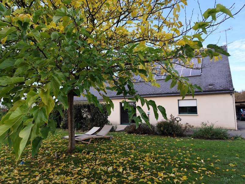 Maison à SAINT-VINCENT-SUR-OUST