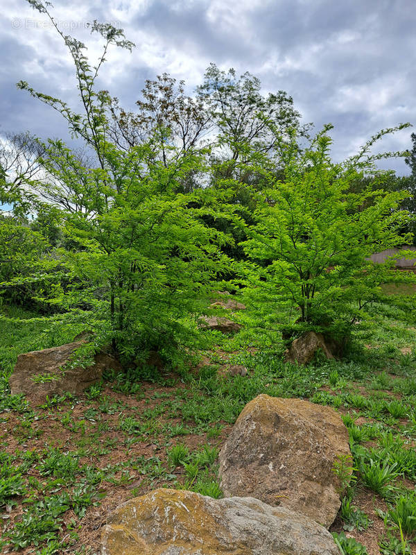 Terrain à NIMES