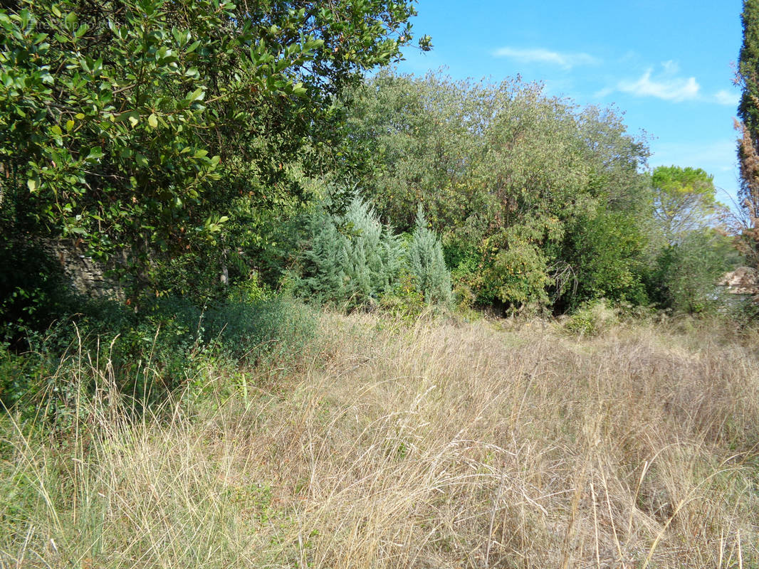 Terrain à NIMES