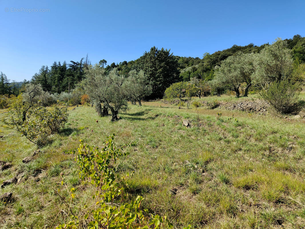 Terrain à SAINT-BRES