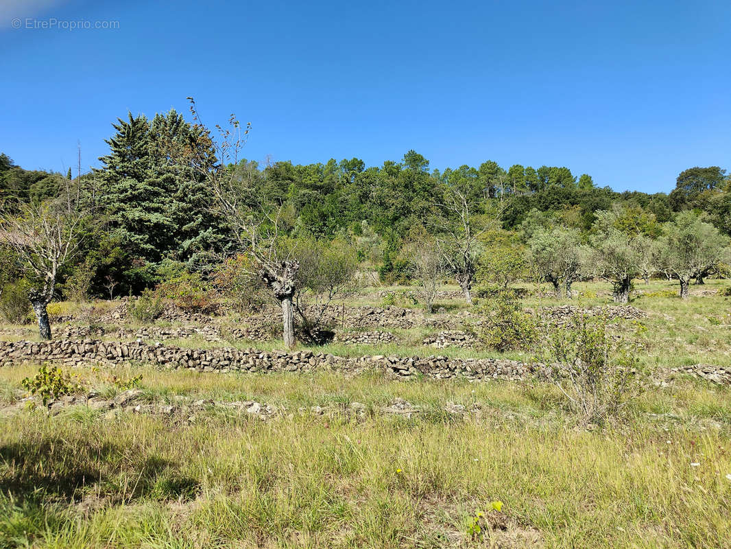 Terrain à SAINT-BRES