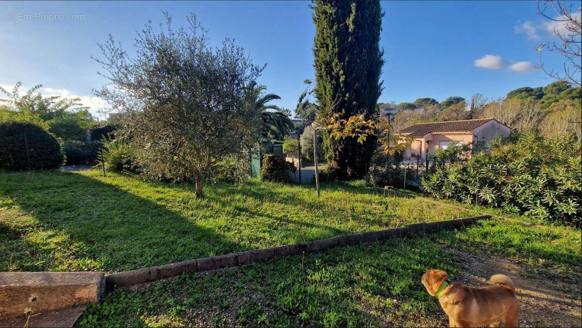 Maison à LA ROQUETTE-SUR-SIAGNE