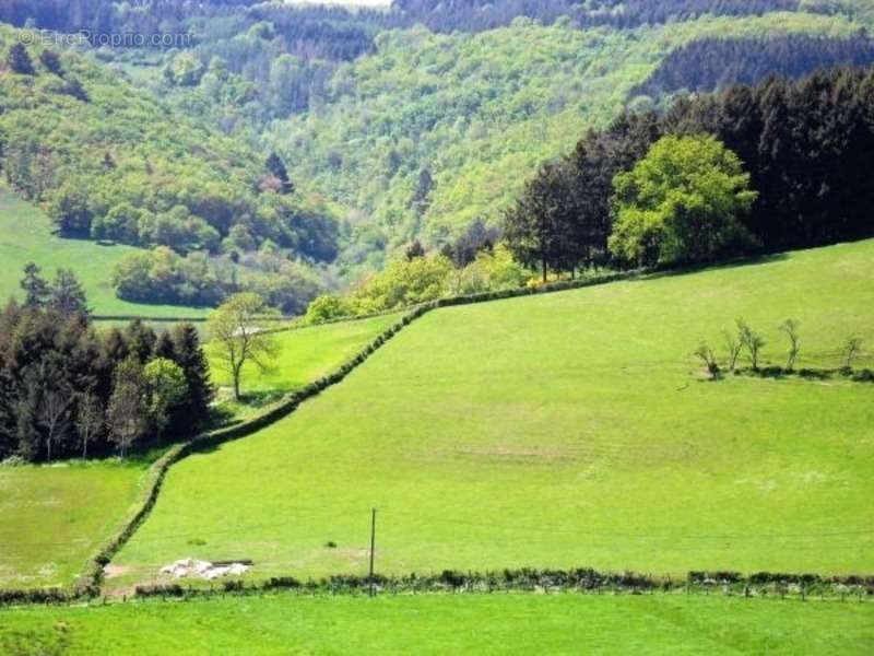 Maison à LUCENAY-L&#039;EVEQUE