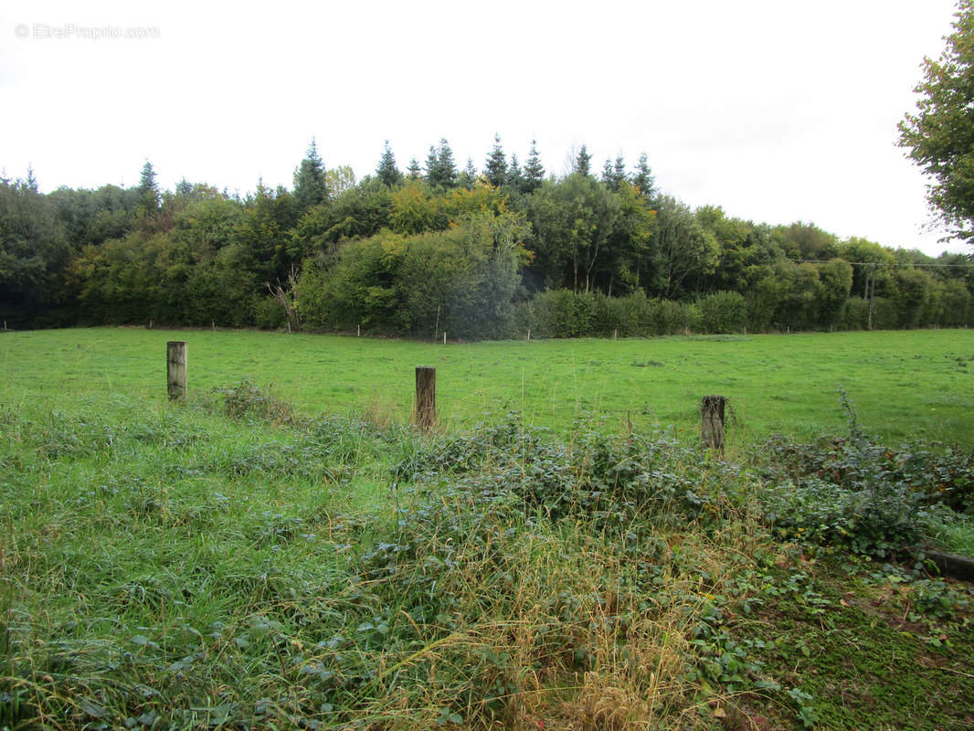 Autre à MESNIL-CLINCHAMPS