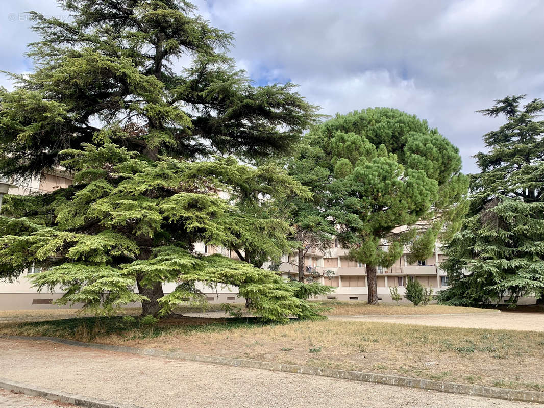 Appartement à AVIGNON