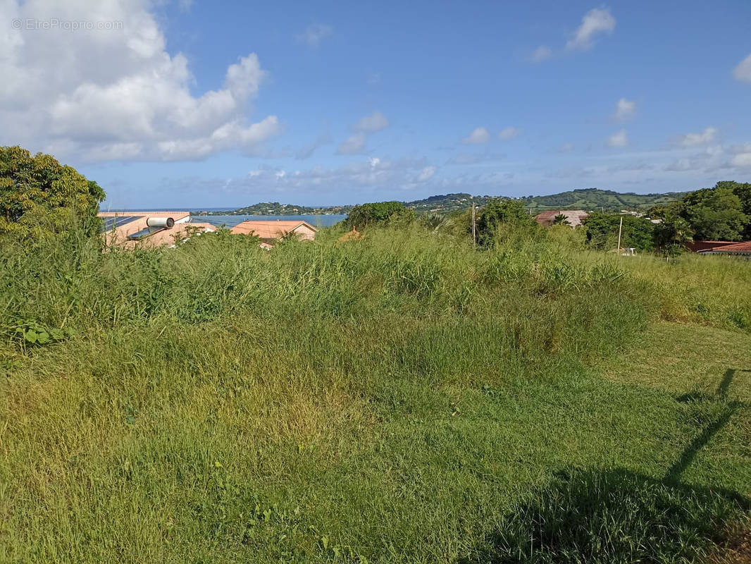 Terrain à LE FRANCOIS