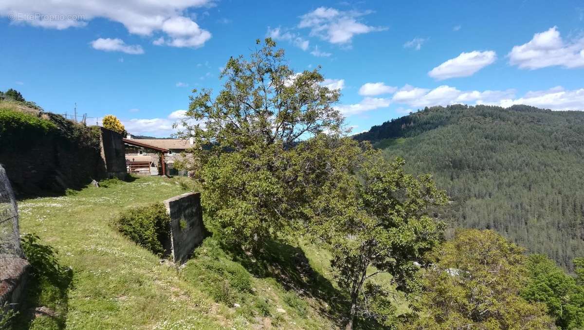 Maison à LE COLLET-DE-DEZE