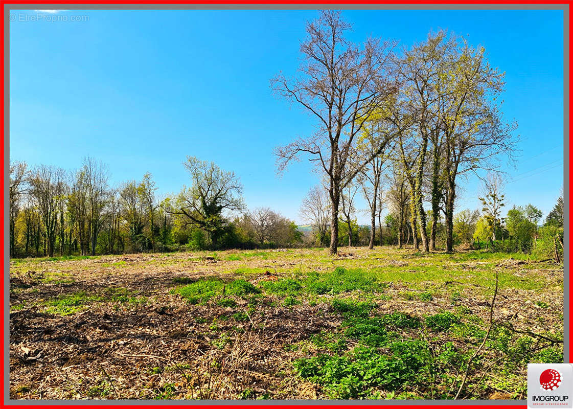 Terrain à SAINT-ETIENNE-DE-VICQ