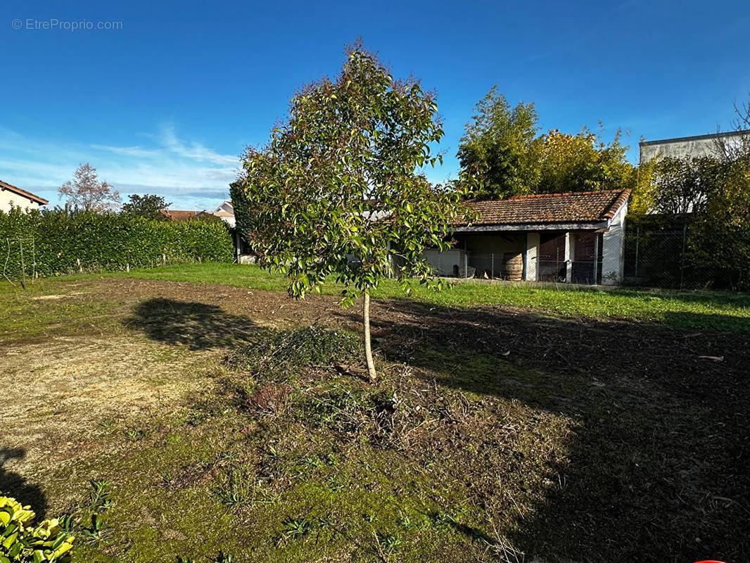 Terrain à MONTAUBAN