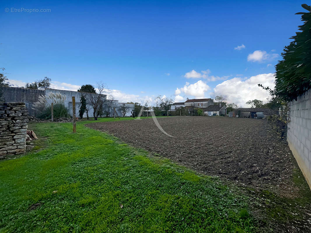 Maison à SAINTE-RADEGONDE-DES-NOYERS