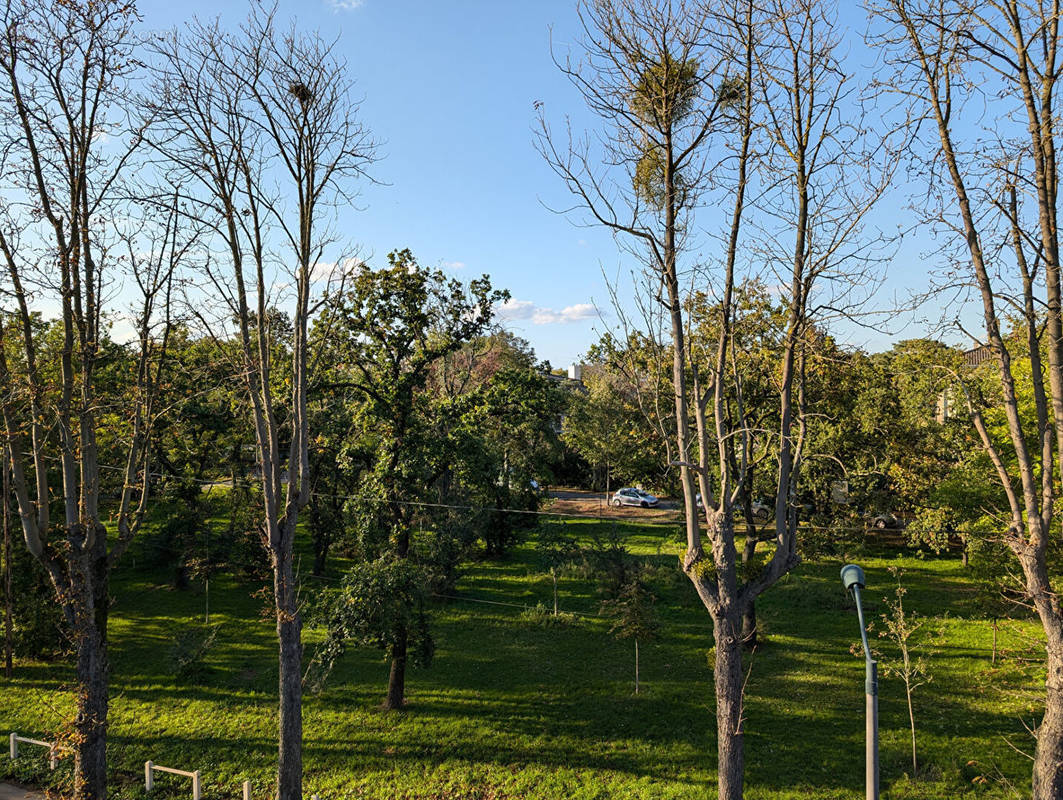 Appartement à MAISONS-LAFFITTE