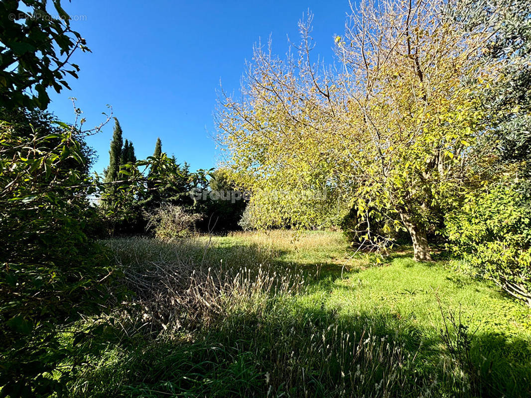 Terrain à BEAUVOISIN