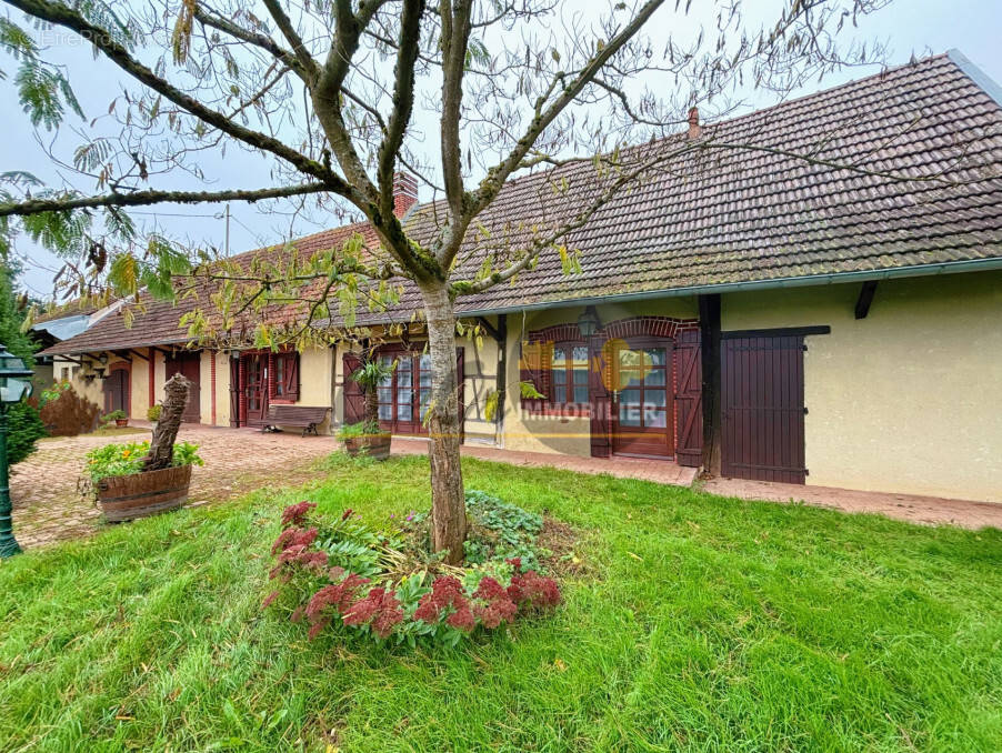 Maison à SAINT-MARTIN-EN-BRESSE