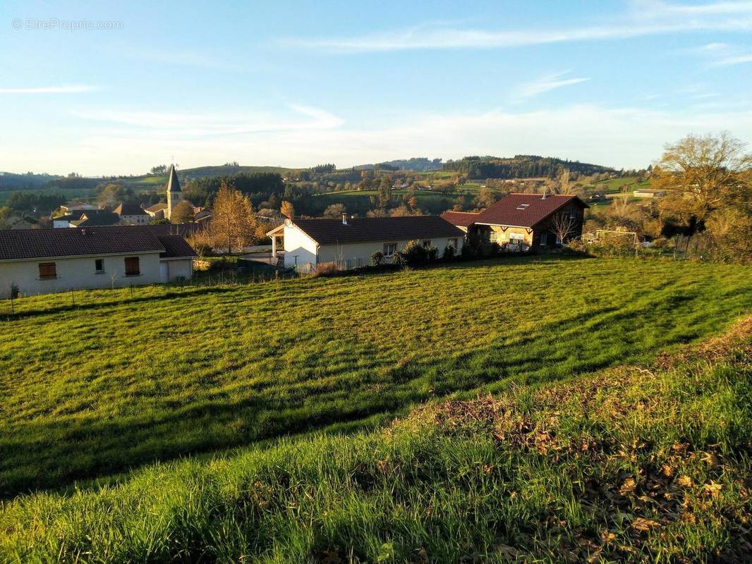 Photo 1 - Terrain à POULE-LES-ECHARMEAUX