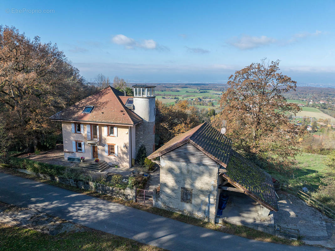 Maison à MASSONGY