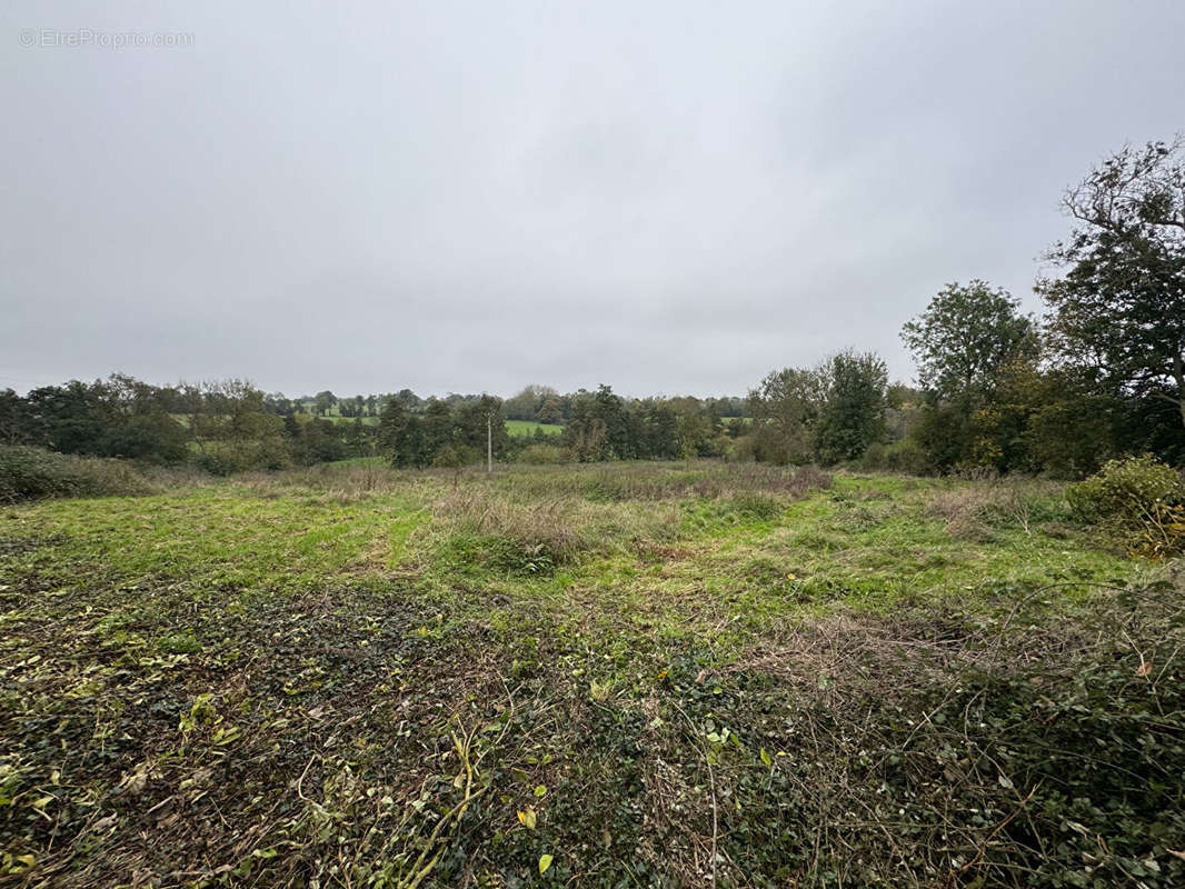 Terrain à VAUX-SUR-SEULLES