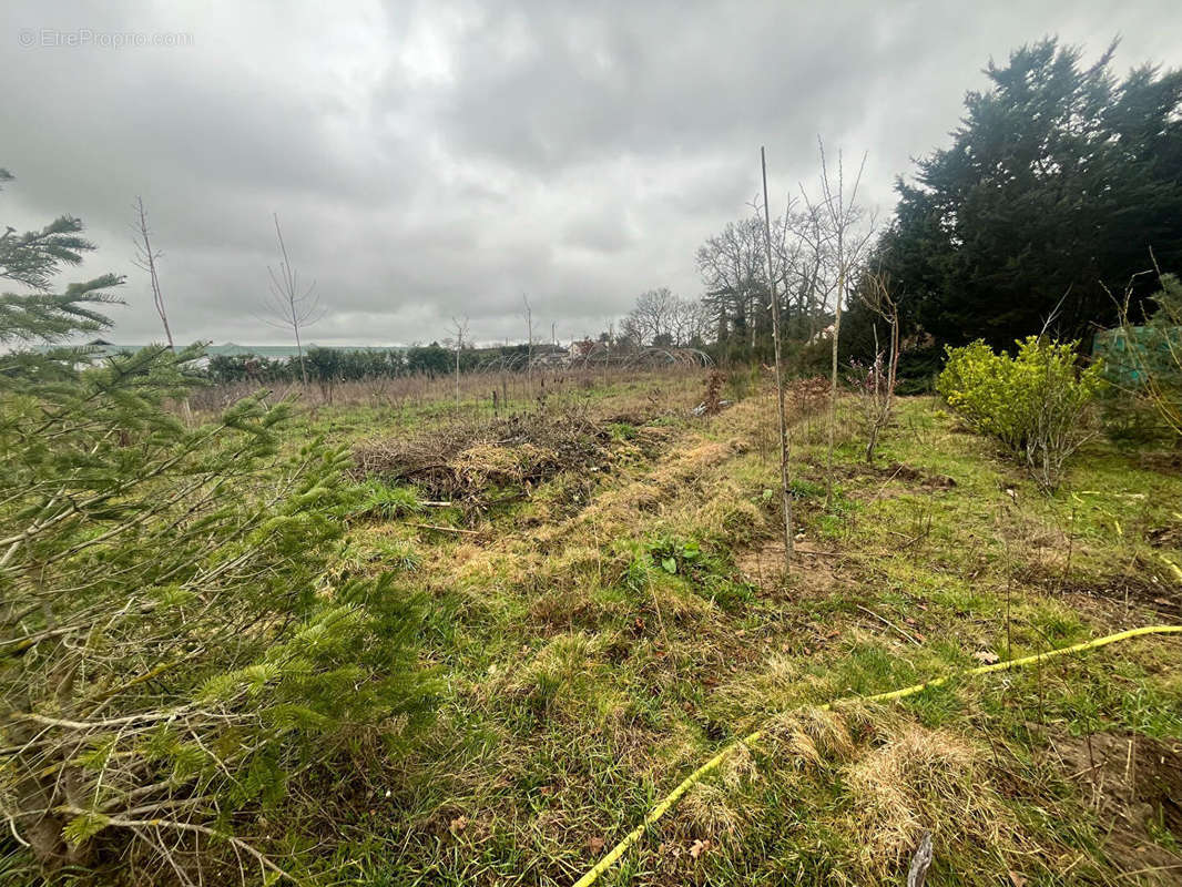 Terrain à SAINT-DENIS-EN-VAL