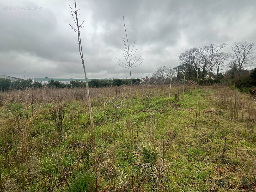 Terrain à SAINT-DENIS-EN-VAL