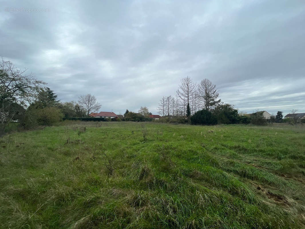 Terrain à LES BORDES