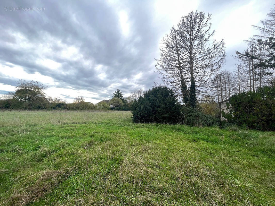 Terrain à LES BORDES