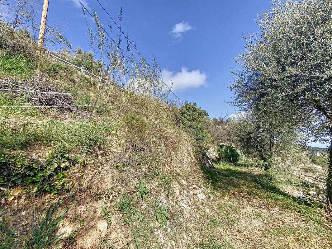 Terrain à GORBIO