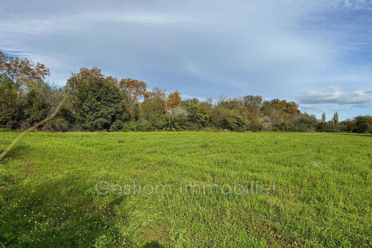 Terrain à PERPIGNAN