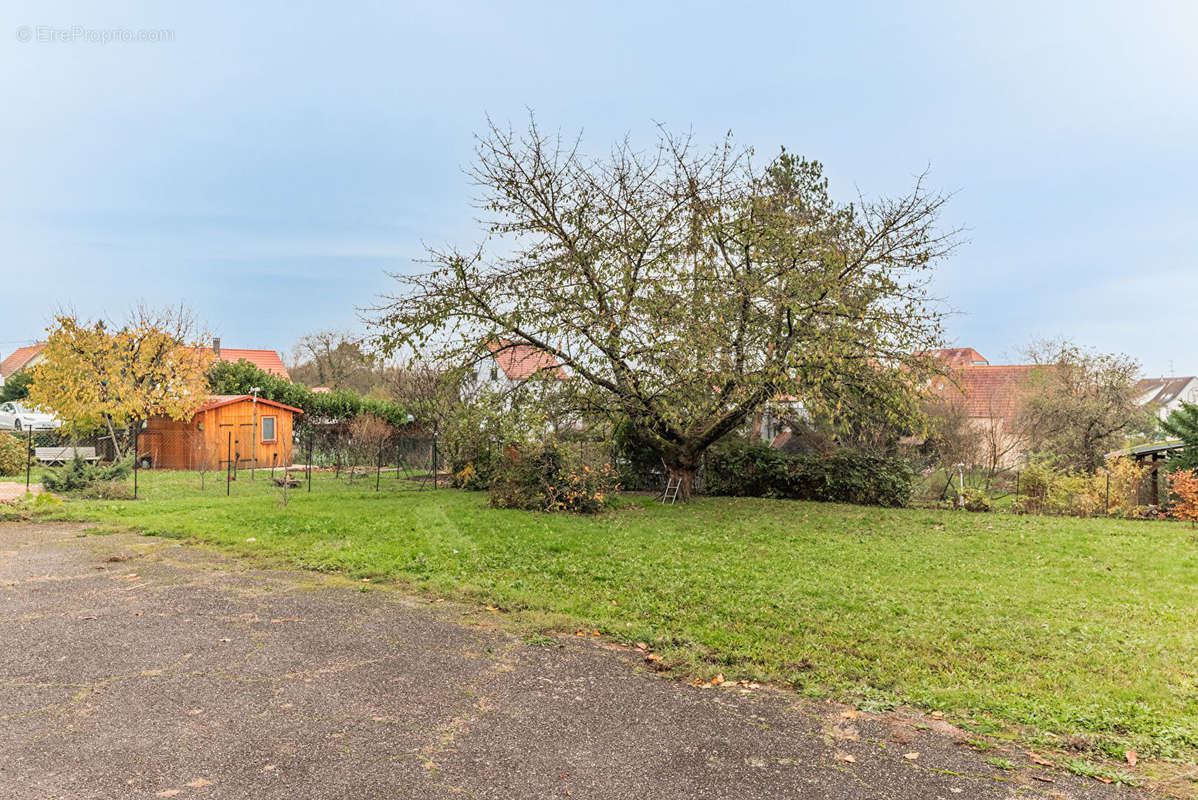 Maison à MOLSHEIM