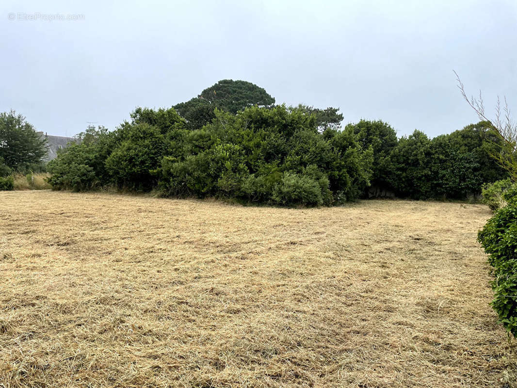 Terrain à PENMARCH