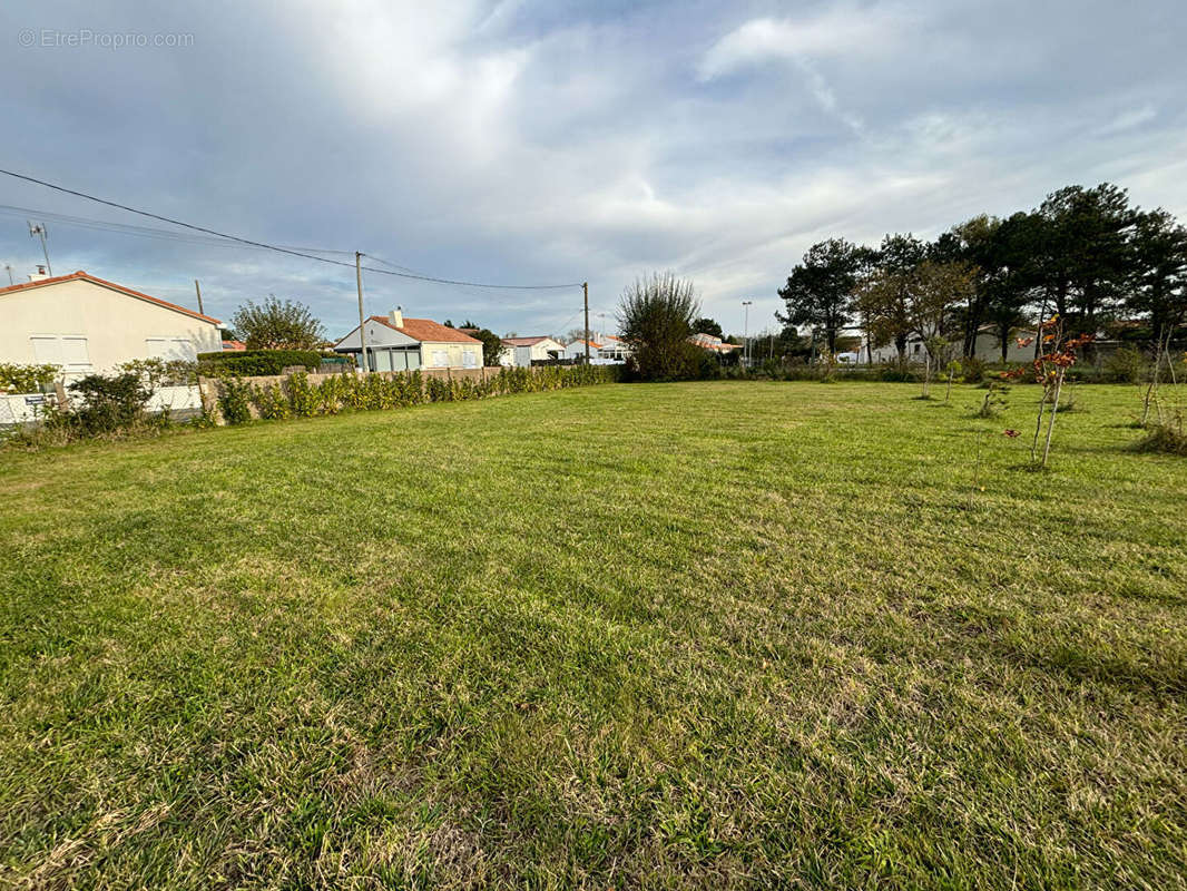 Terrain à SAINT-HILAIRE-DE-RIEZ