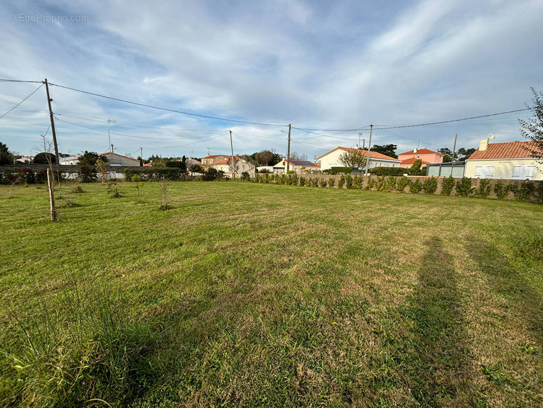 Terrain à SAINT-HILAIRE-DE-RIEZ