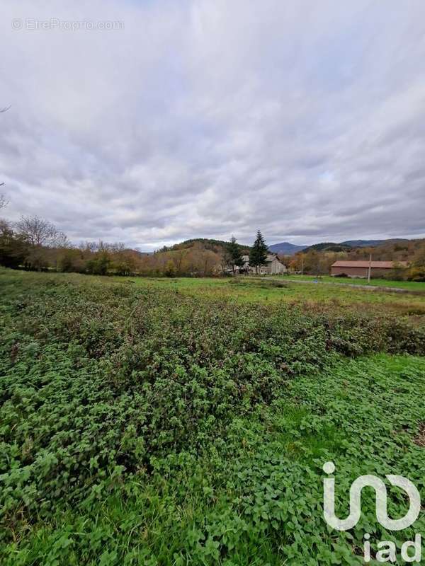 Photo 2 - Terrain à SAINT-ETIENNE-LARDEYROL