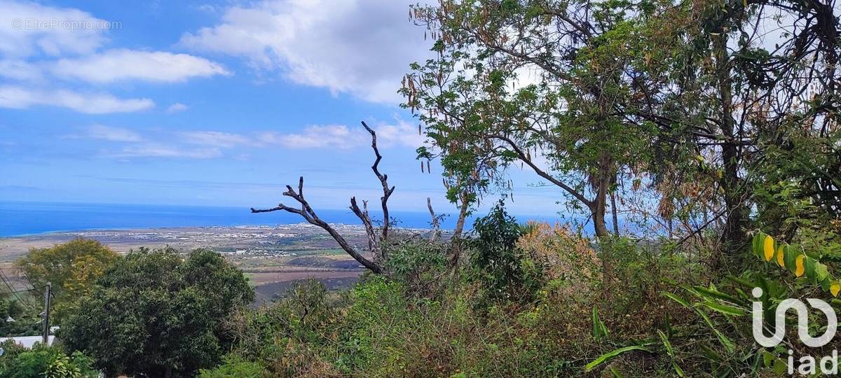 Photo 1 - Terrain à SAINT-PIERRE