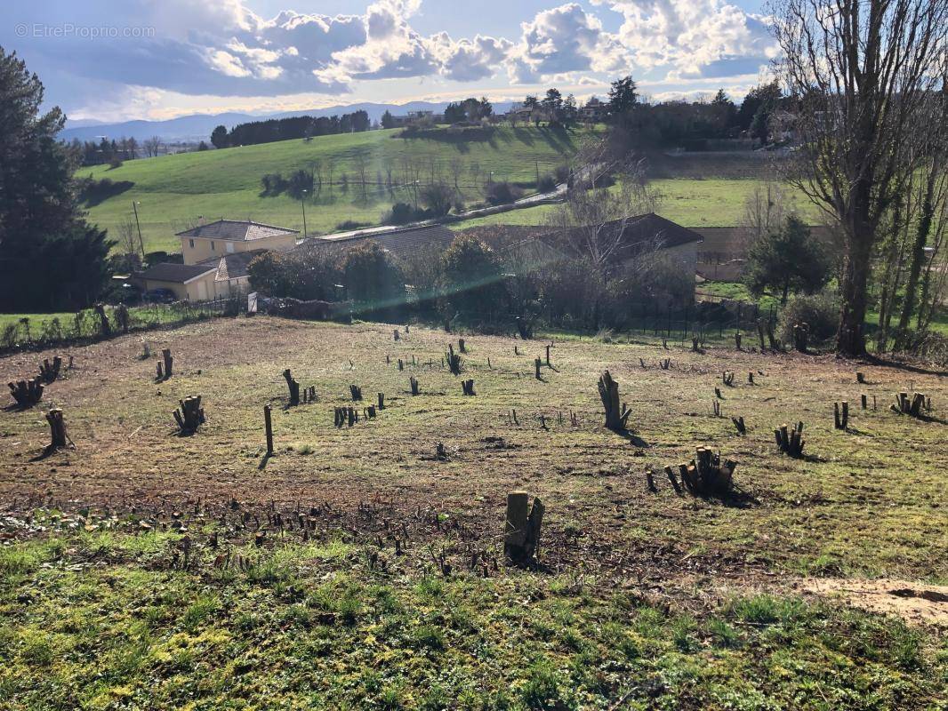 Terrain à LIMONEST