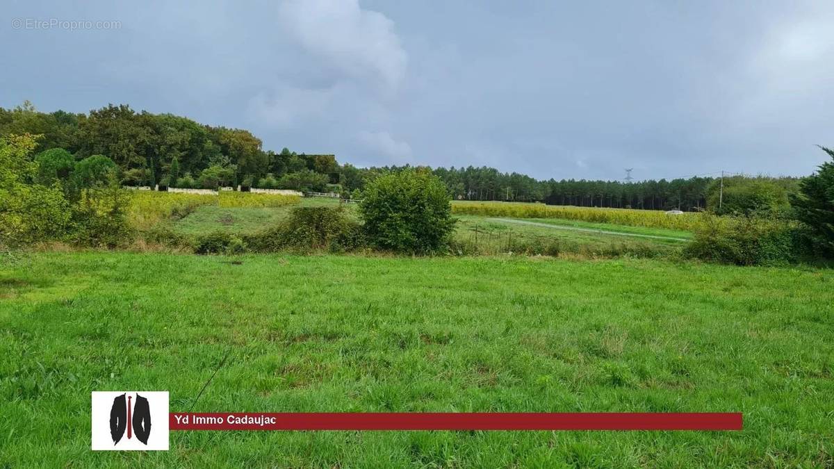 Terrain à LA BREDE