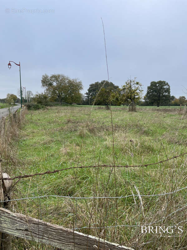 Terrain à LE MELE-SUR-SARTHE