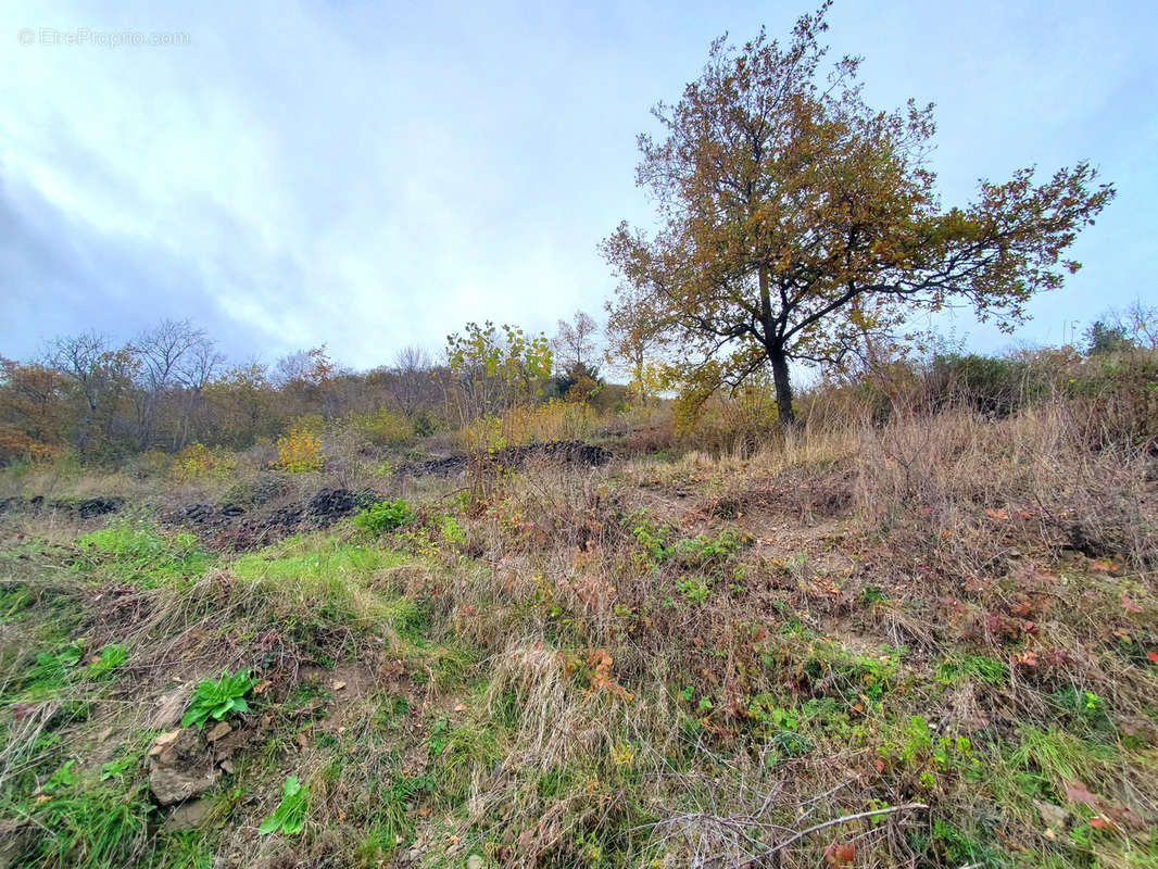 Terrain à CEYSSAC