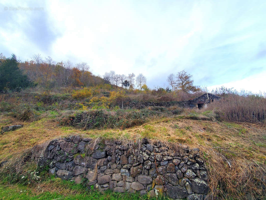 Terrain à CEYSSAC